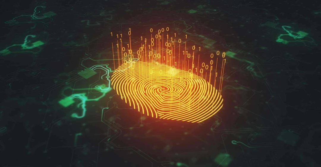 Understanding Digital Data Forensics